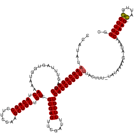 secondary structure