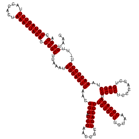 secondary structure
