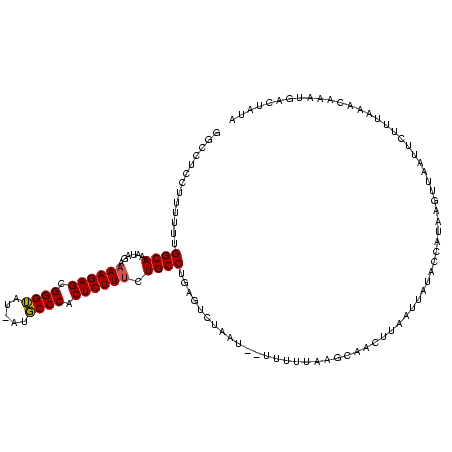 secondary structure