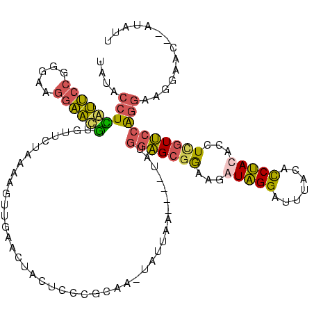 secondary structure