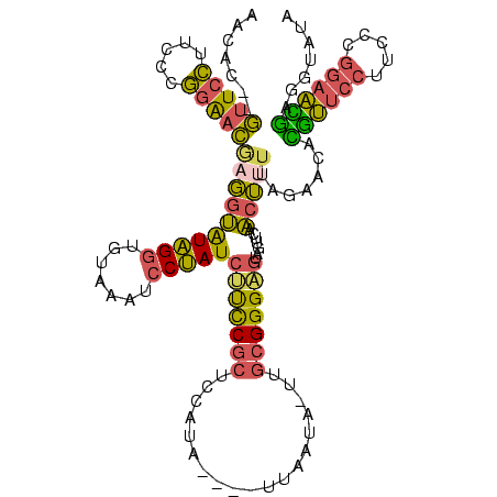 secondary structure