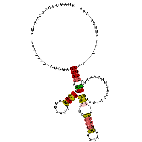secondary structure