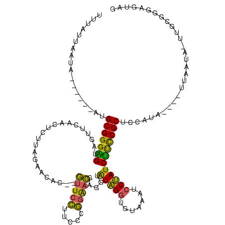 secondary structure