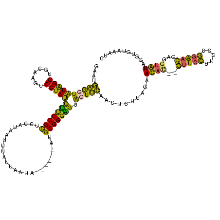 secondary structure
