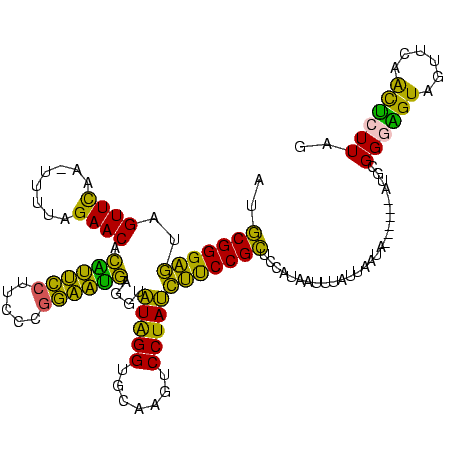 secondary structure