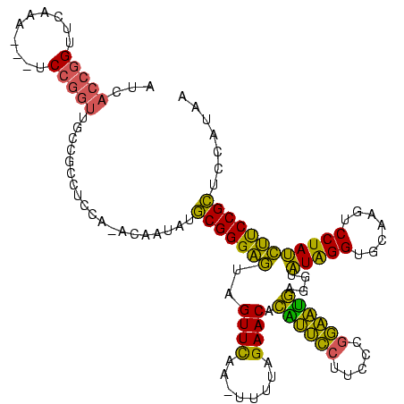 secondary structure