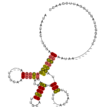 secondary structure