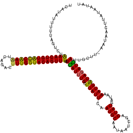 secondary structure