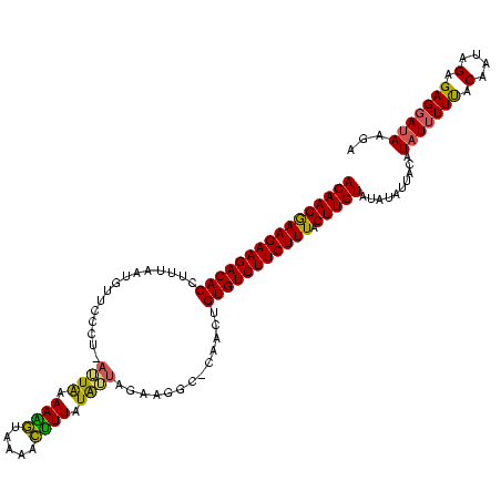 secondary structure