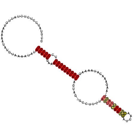 secondary structure