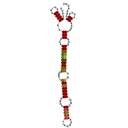 secondary structure