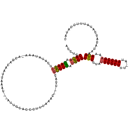secondary structure