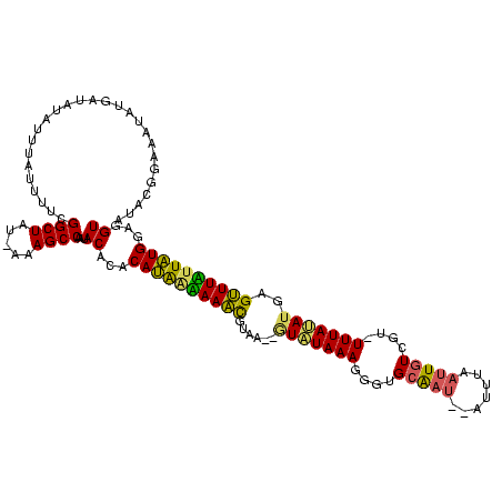 secondary structure