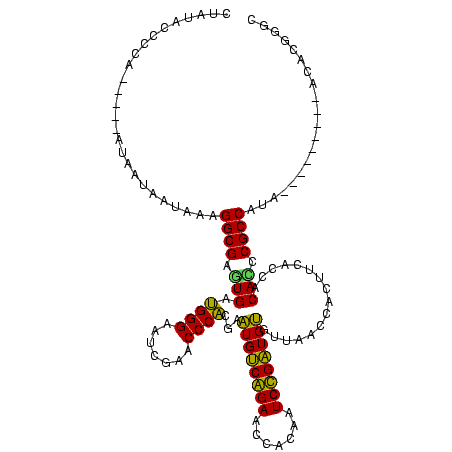 secondary structure