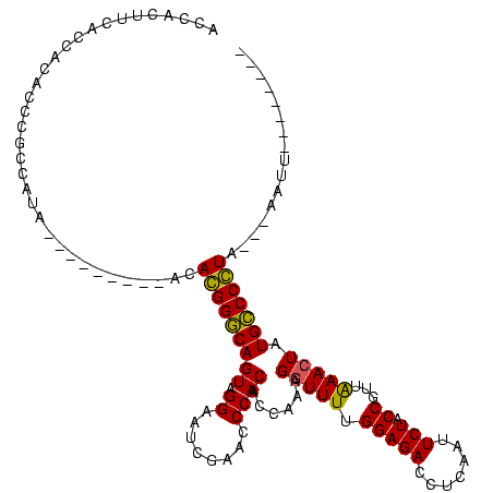 secondary structure