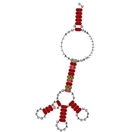 secondary structure