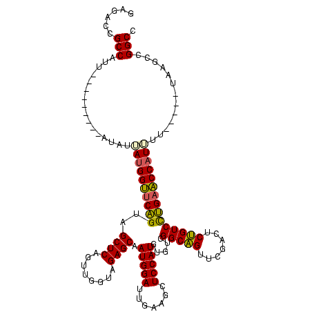 secondary structure
