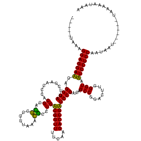 secondary structure