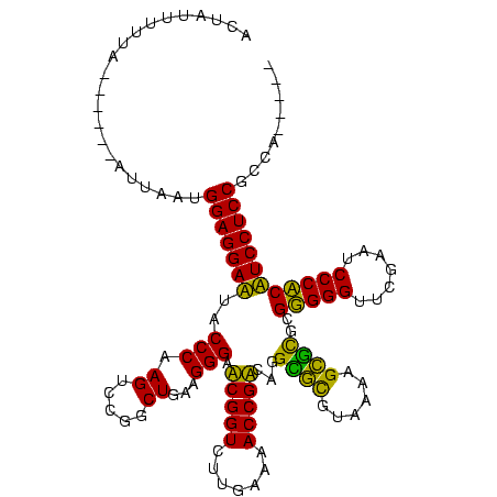secondary structure