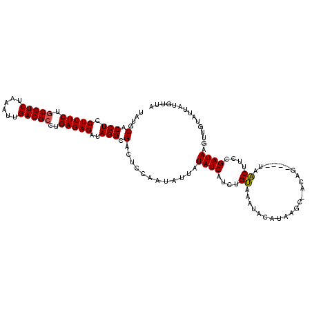 secondary structure