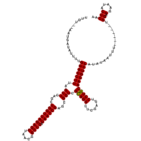 secondary structure