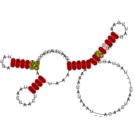 secondary structure