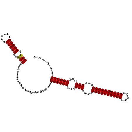 secondary structure