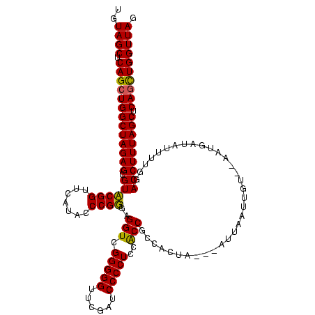 secondary structure
