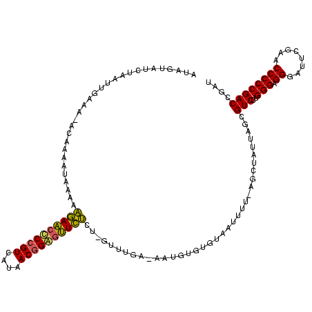 secondary structure