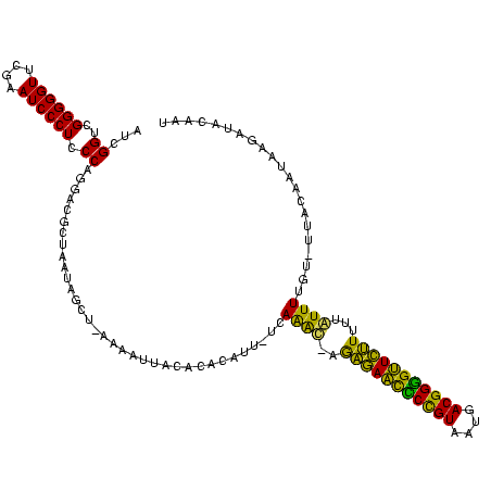 secondary structure