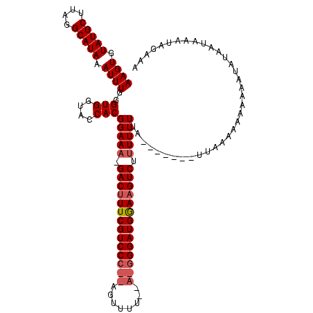 secondary structure