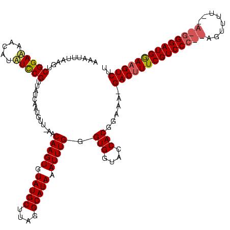 secondary structure