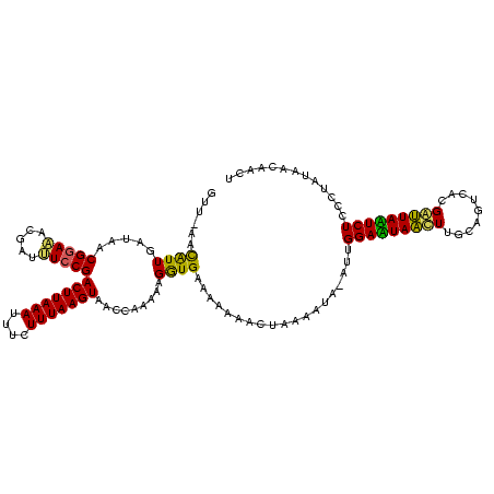 secondary structure