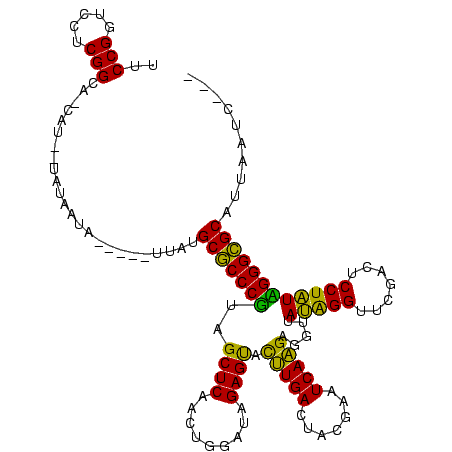 secondary structure