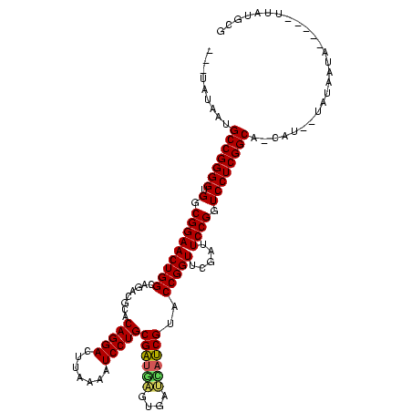 secondary structure