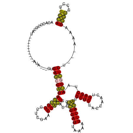 secondary structure
