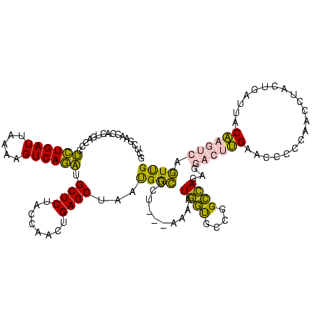 secondary structure