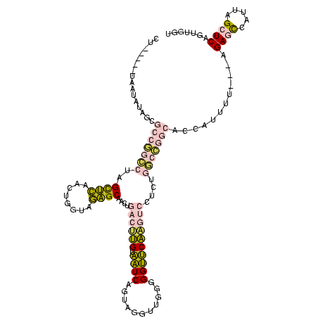 secondary structure