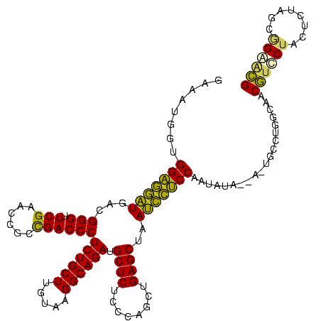 secondary structure