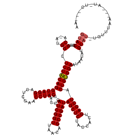 secondary structure
