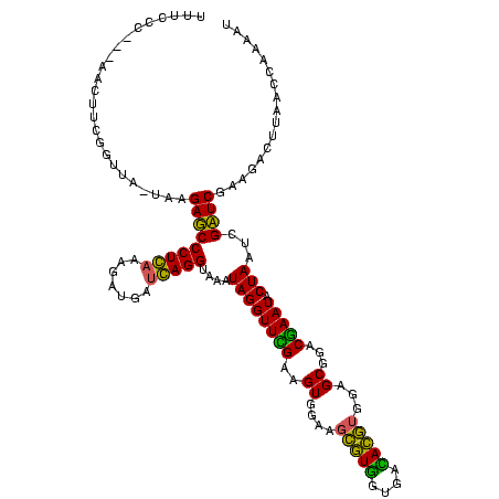 secondary structure