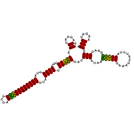 secondary structure