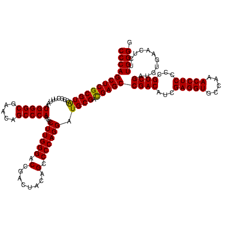 secondary structure