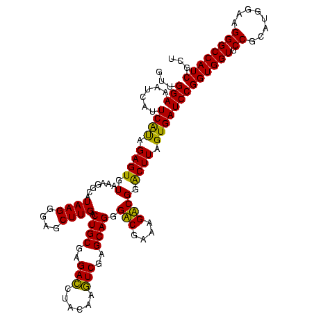 secondary structure