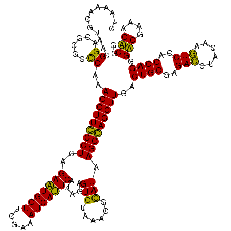 secondary structure