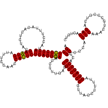 secondary structure