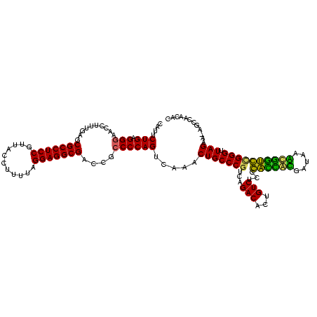 secondary structure