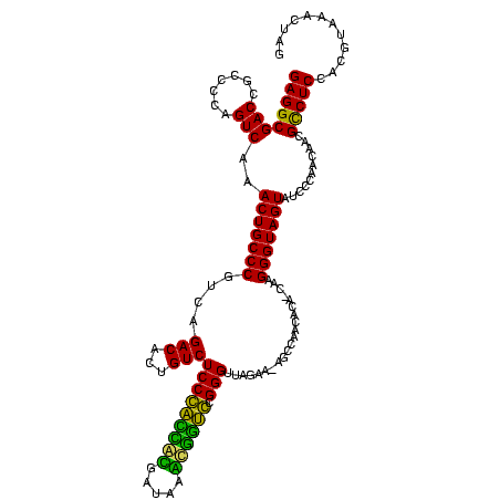secondary structure
