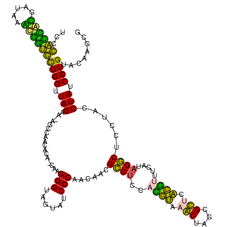 secondary structure