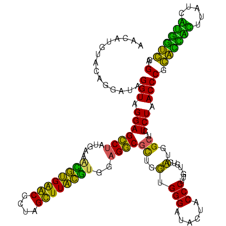 secondary structure